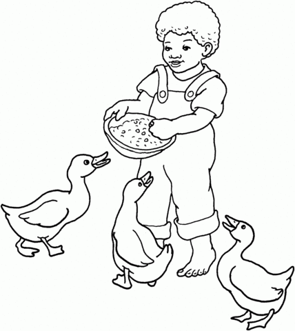 Boy Feeds Geese Coloring Page